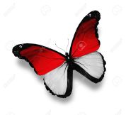Bendera Indonesia kupu-kupu